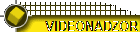 VIDEONADZOR